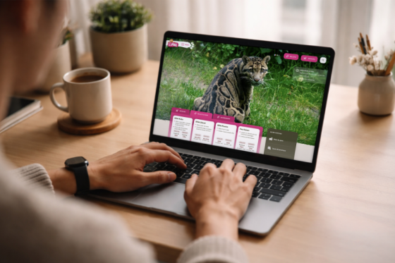 Espaces de loisirs et culturels : 4 bonnes pratiques pour simplifier le parcours des visiteurs sur votre site web et favoriser la conversion.