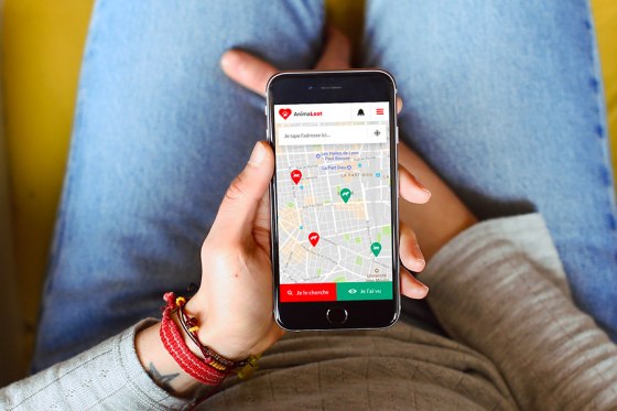 Développement du site et de la PWA AnimaLost